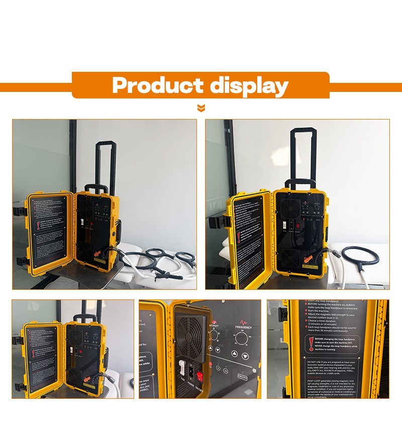PEMF PMST LOOP Magnetic Therapy Machine for Horse Human Pain Rehabilitation