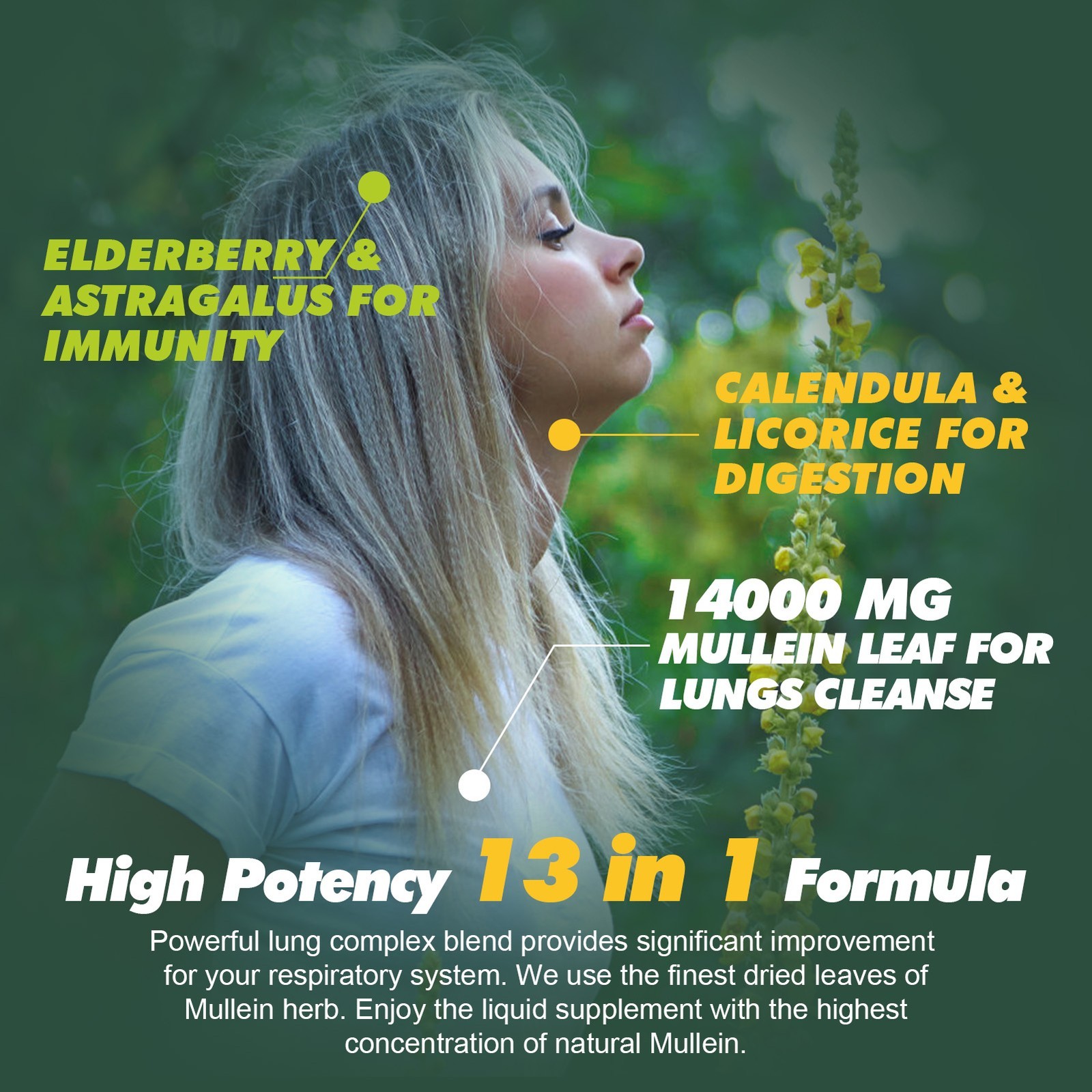 1-5Packs Mullein Drops for Lungs, Detox and Cleanse Mullein Extract Supplement