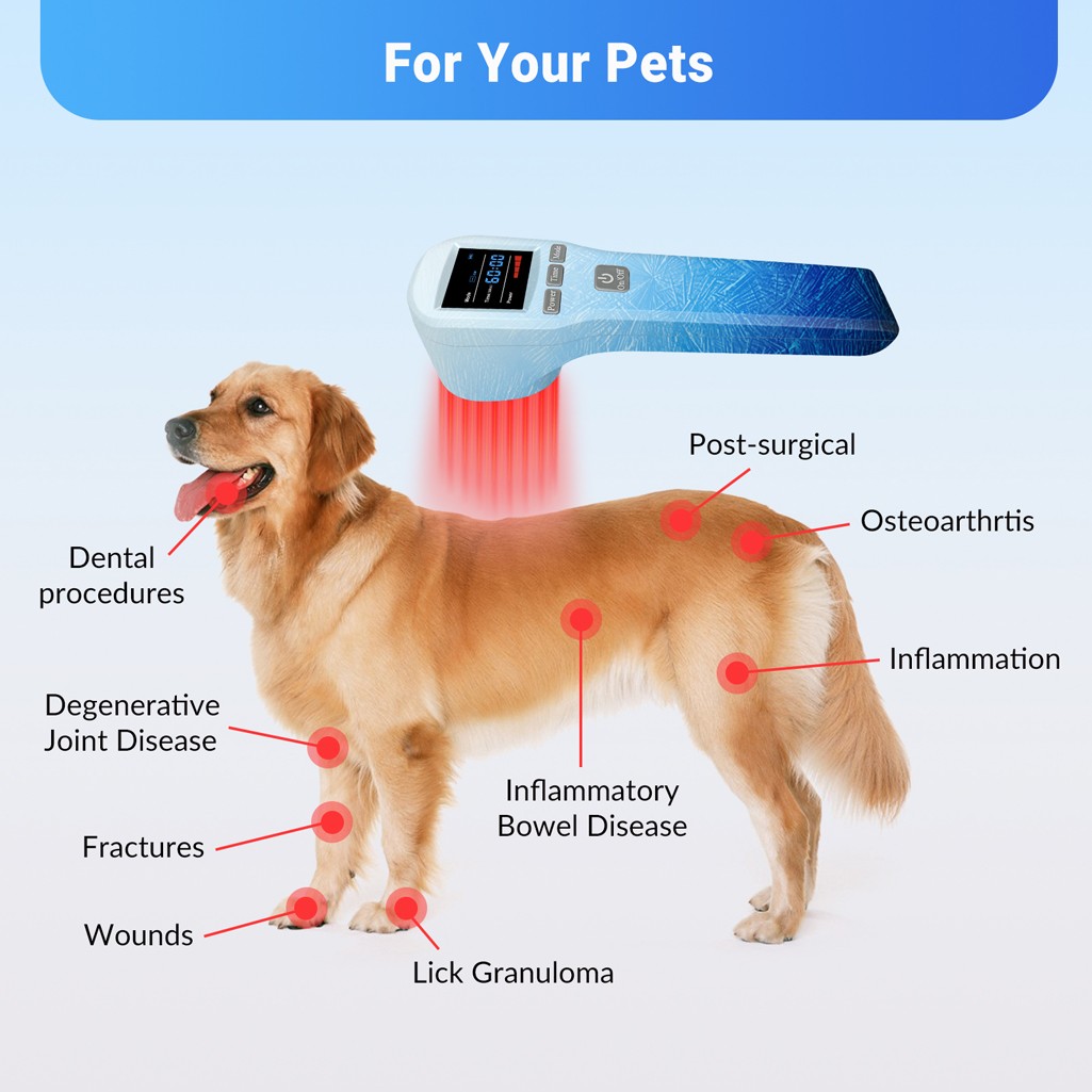 Cold Laser Therapy LLLT Device 880mW Soft Healing Laser For Body Pain Relief