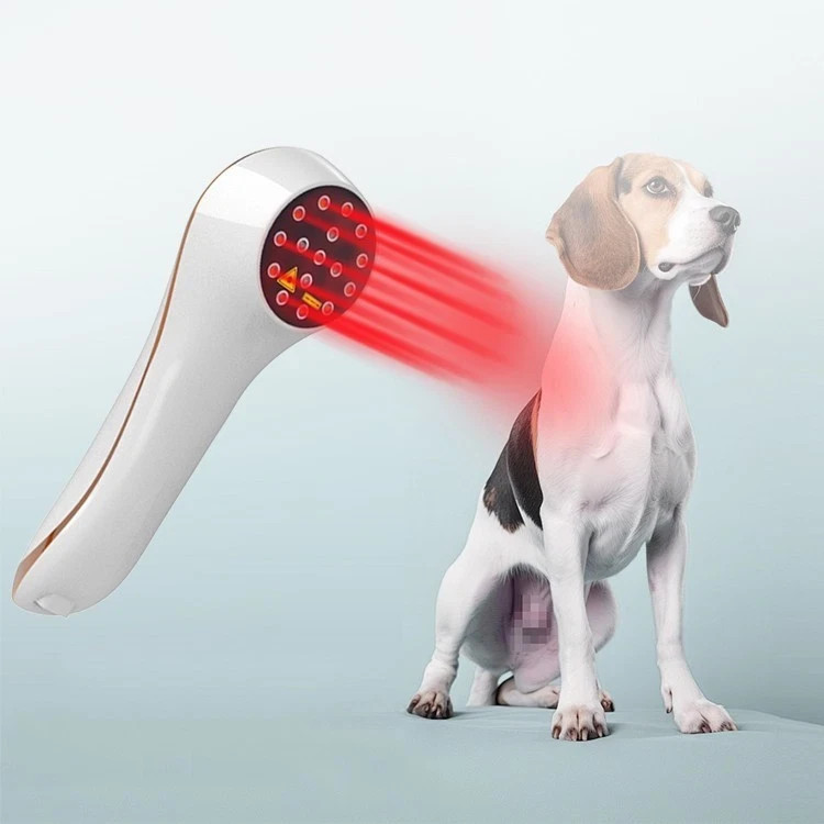 Best Low Level Laser Therapy Prof. & Home Cold Laser Unit Body Pain Relief