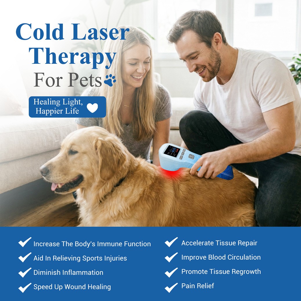 Class 3b Cold Laser 650nm 808nm Red Light Therapy for Back Shoulder Pain Relief
