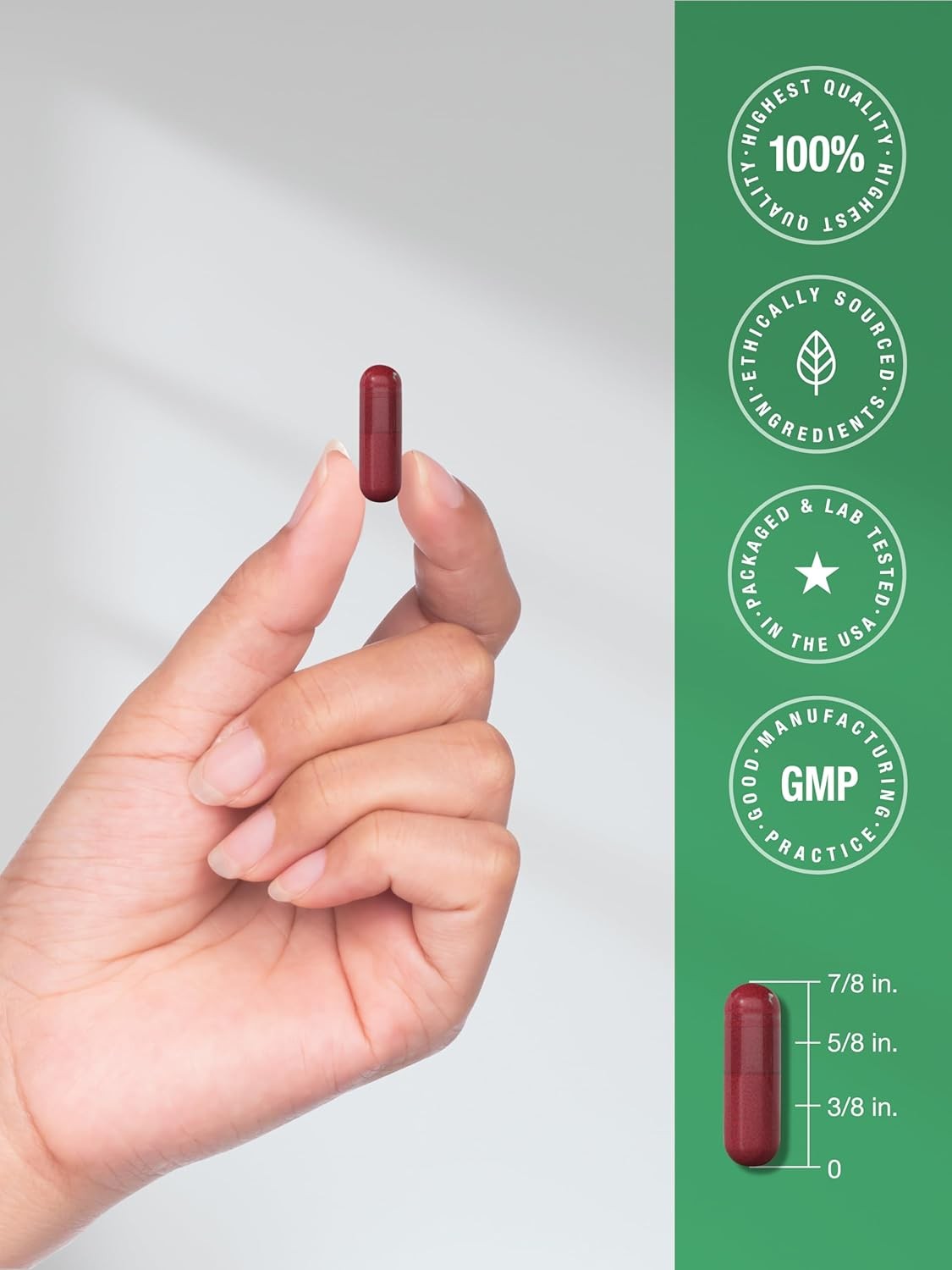 Beet Root Powder Capsules | 8000mg | 320 Count | Non-GMO | by Horbaach