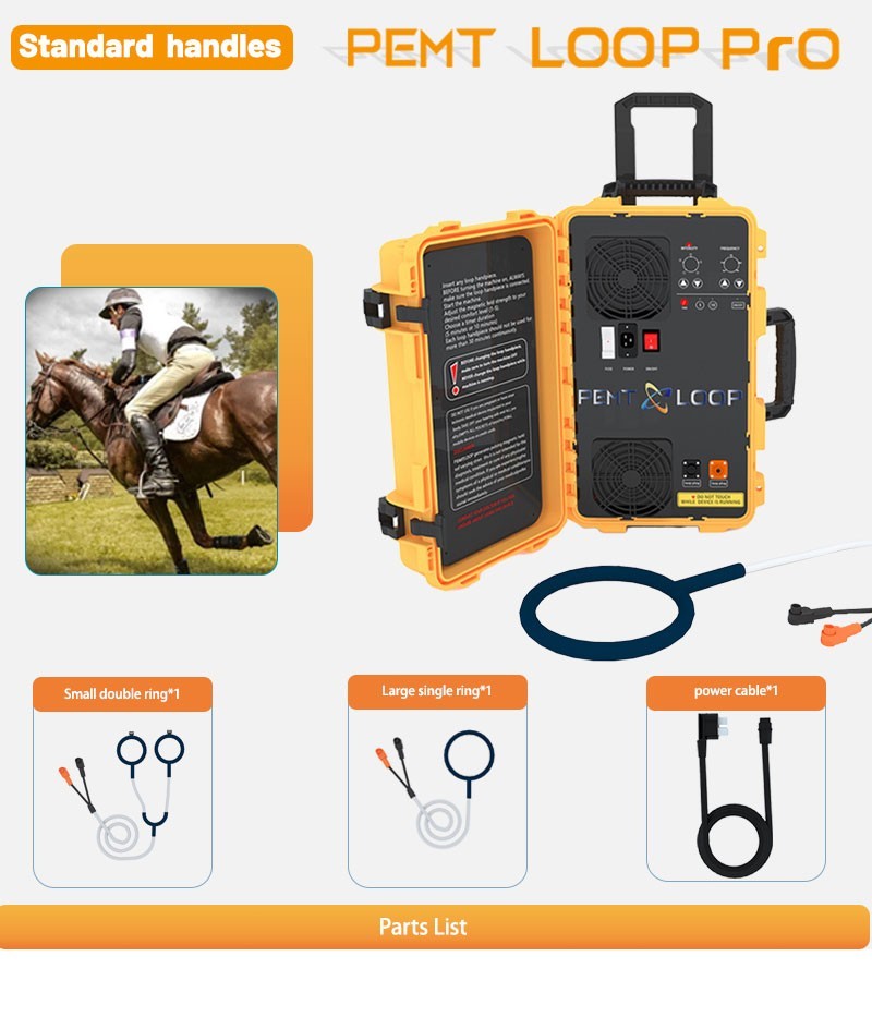 PEMF Therapy PMST LOOP Physio Magnetic Therapy with Large Loop & Butterfly Loop