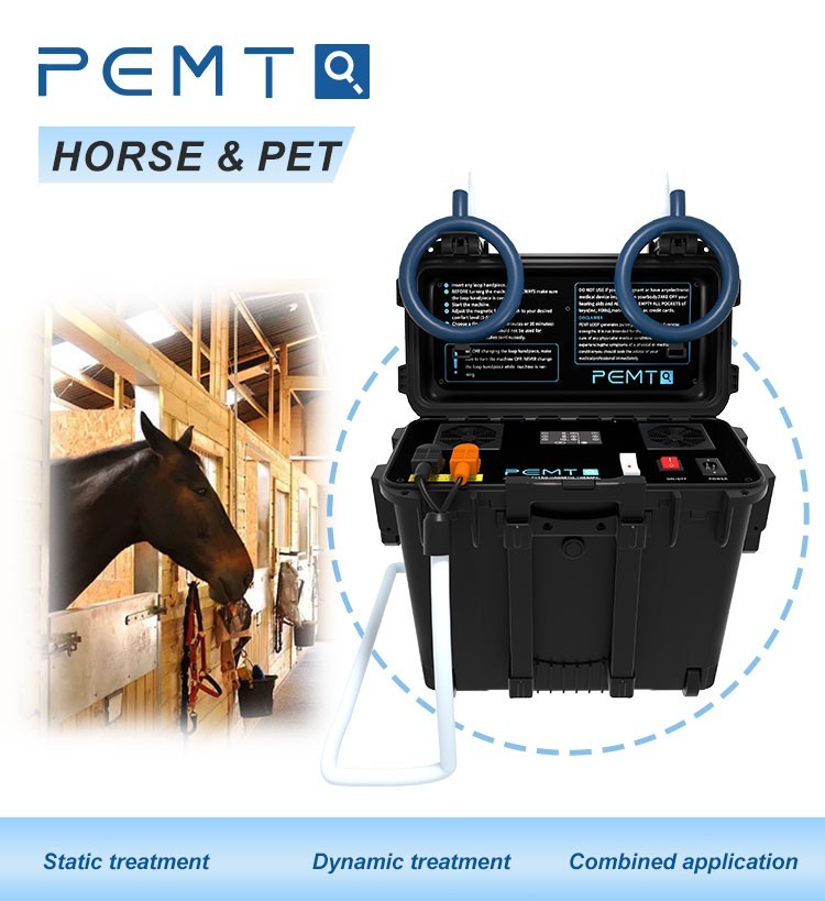Hot US Warehouse PMST PEMF EMTT Loop Magneto Therapy Fast Ship Machine