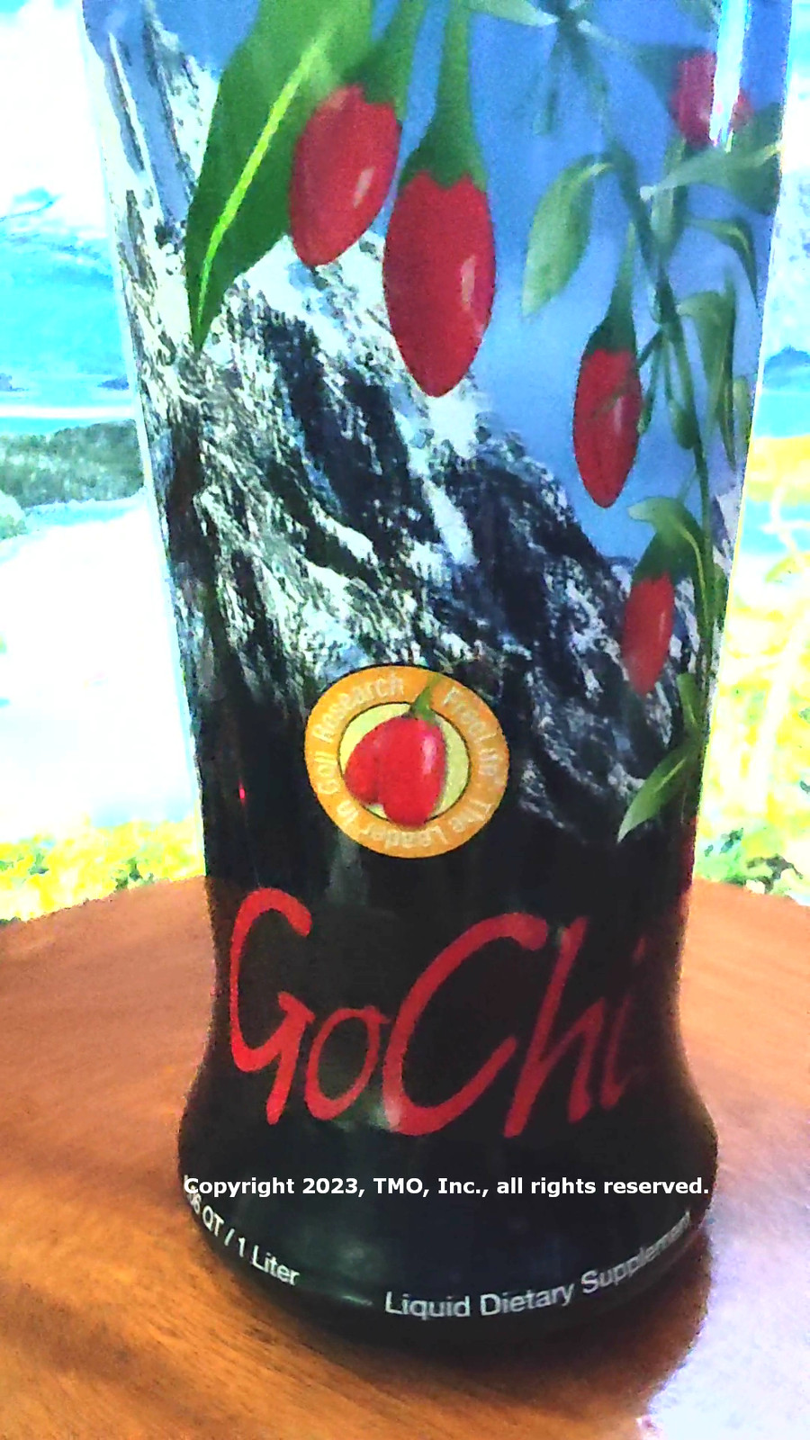 Youngevity Plan-1x GoChi Juice 4-Pak