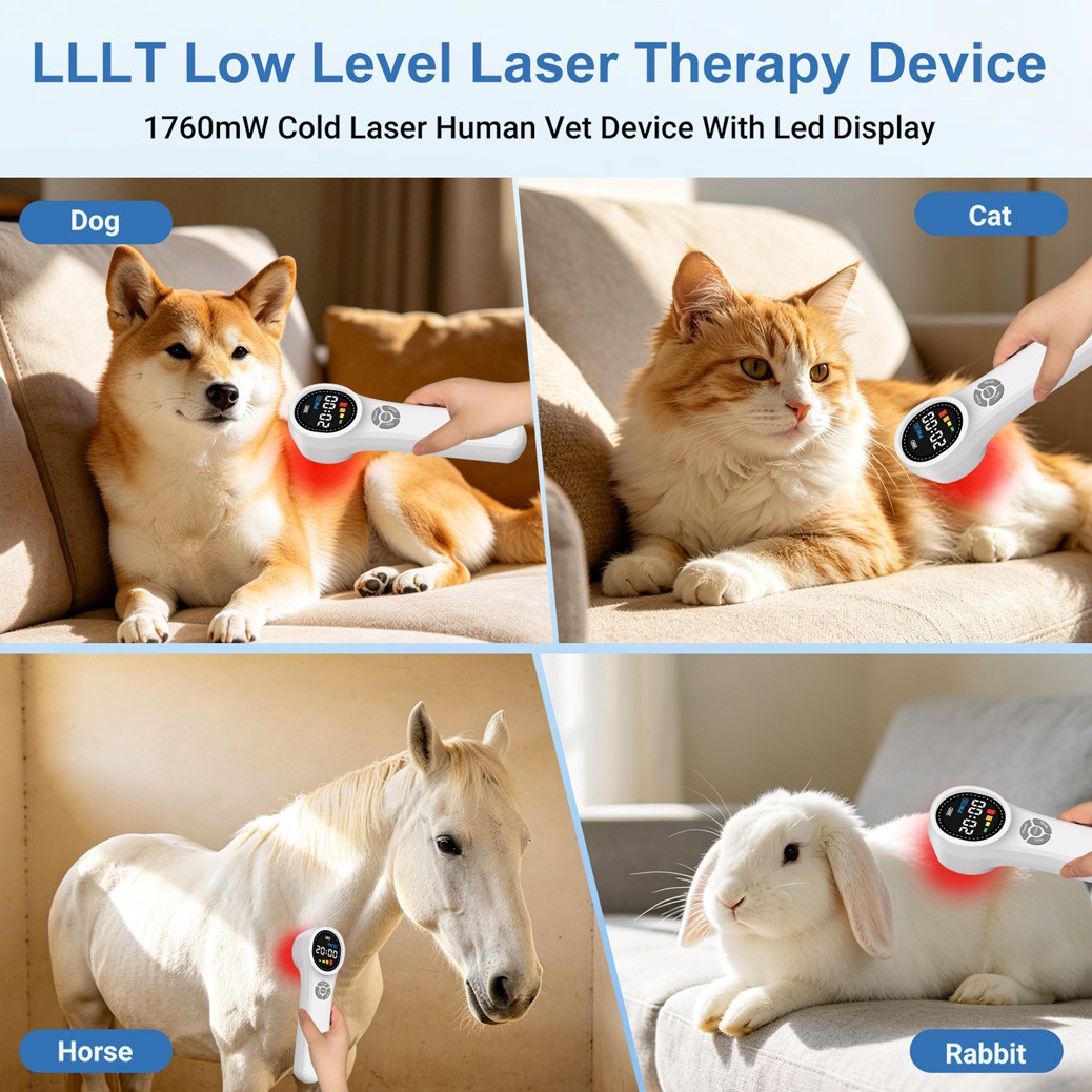 1760mW Low Level Laser Therapy for Neck Back Muscle Strain Treatment Pain Relief