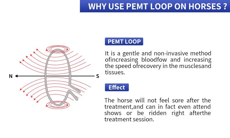 PMST Loop EMTT PEMF Machine Magnetic Physio Therapy Massage Pain Relief Animals