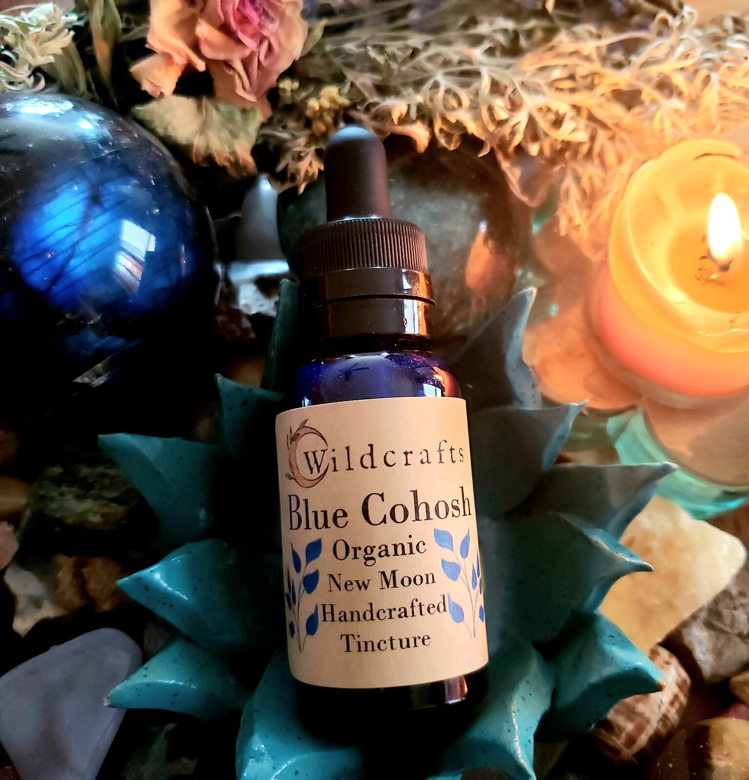 Blue Cohosh Organic Tincture Herbal Extract Handcrafted & Aged 1 Year