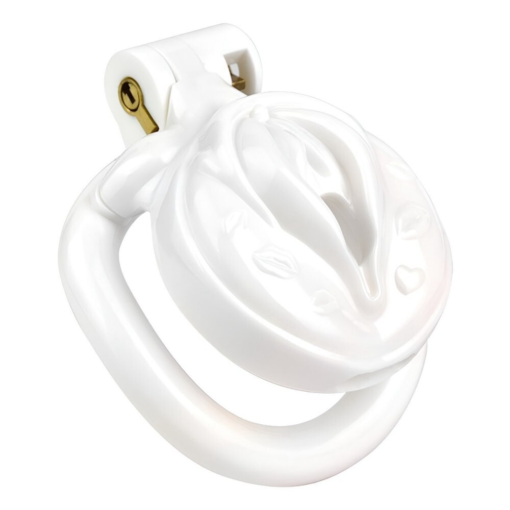 ABS Resin 4 Colors Sissy Realistic Pussy Chastity Cage with 4 Rings Lock Devices