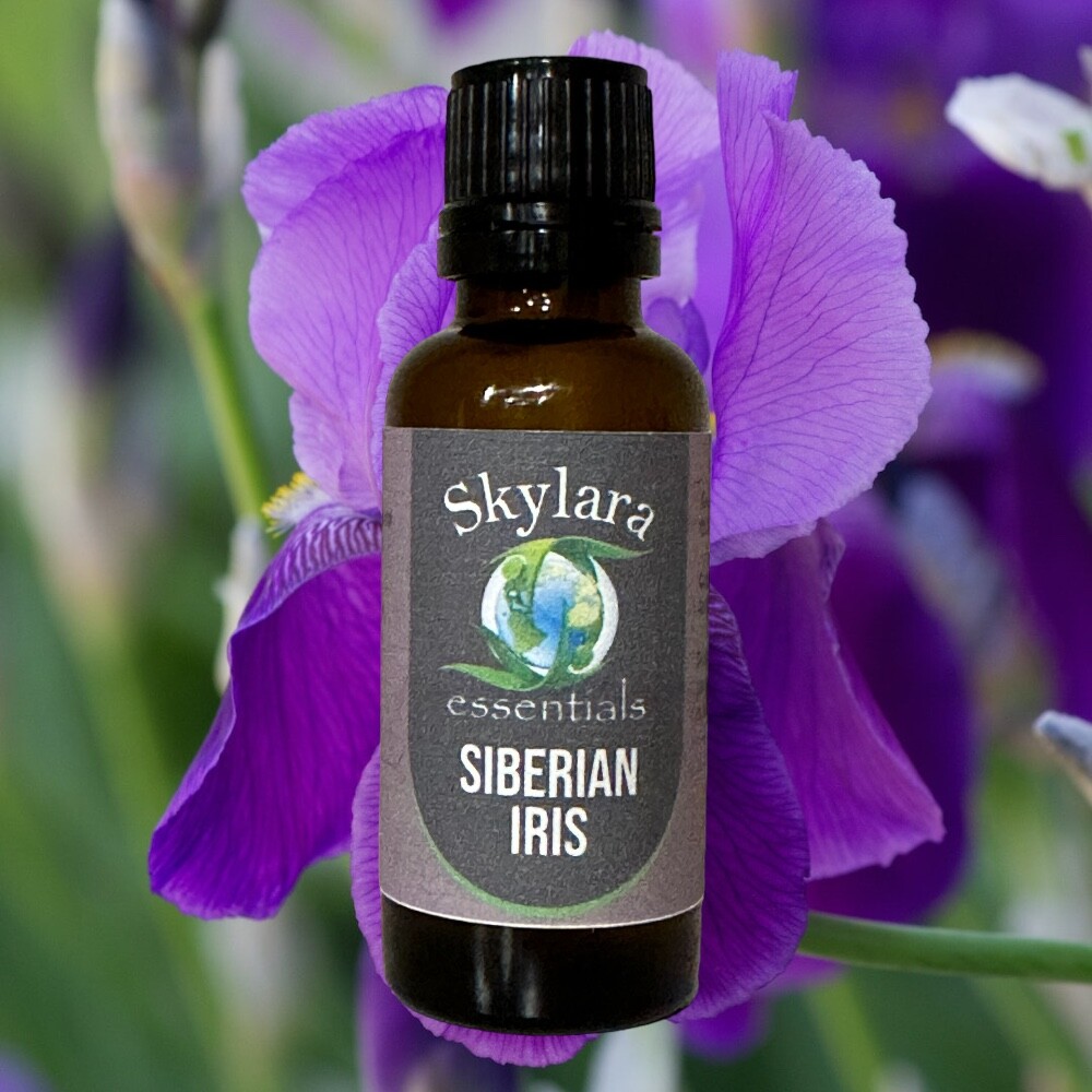 100% Pure and Therapeutic Grade Siberian Iris Essential Oil – Free Shipping