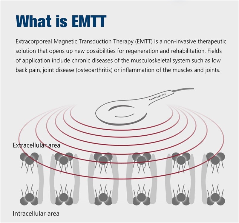 PMST PEMF EMTT Physio Magneto Therapy Magnetic Pain Relief Massager Machine 2026