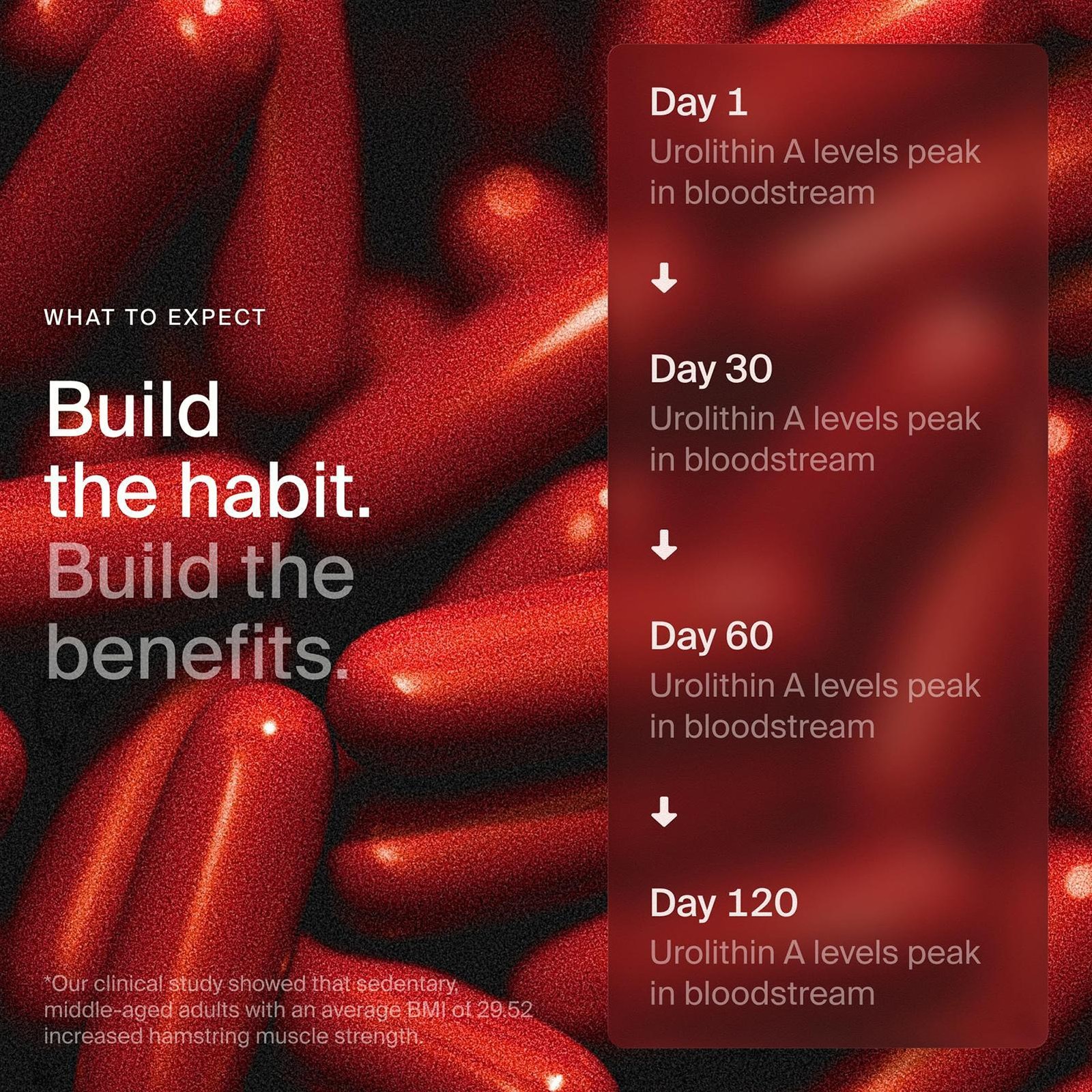 Time-Line Longevity Supplement Mitopure Urolithin A 60 Softgels