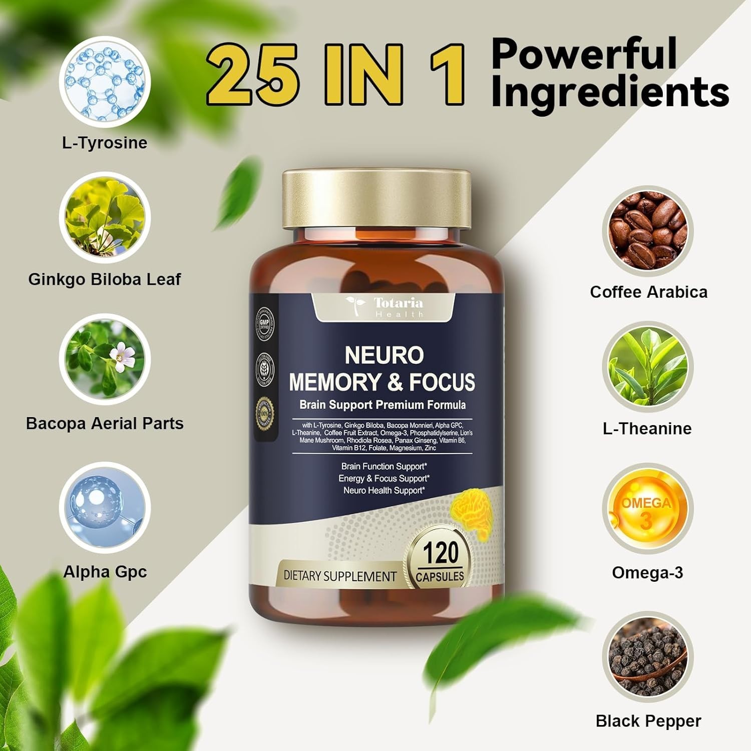25 in 1 Brain Supplements for Memory and Focus & Neuro Health – Daily Nootropic