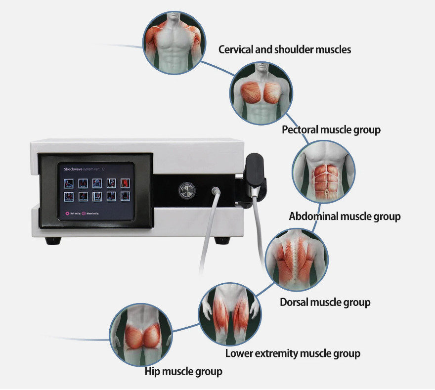 Shockwave Therapy Machine Radial Pneumatic Shock Wave ED Treatment Pain Relief