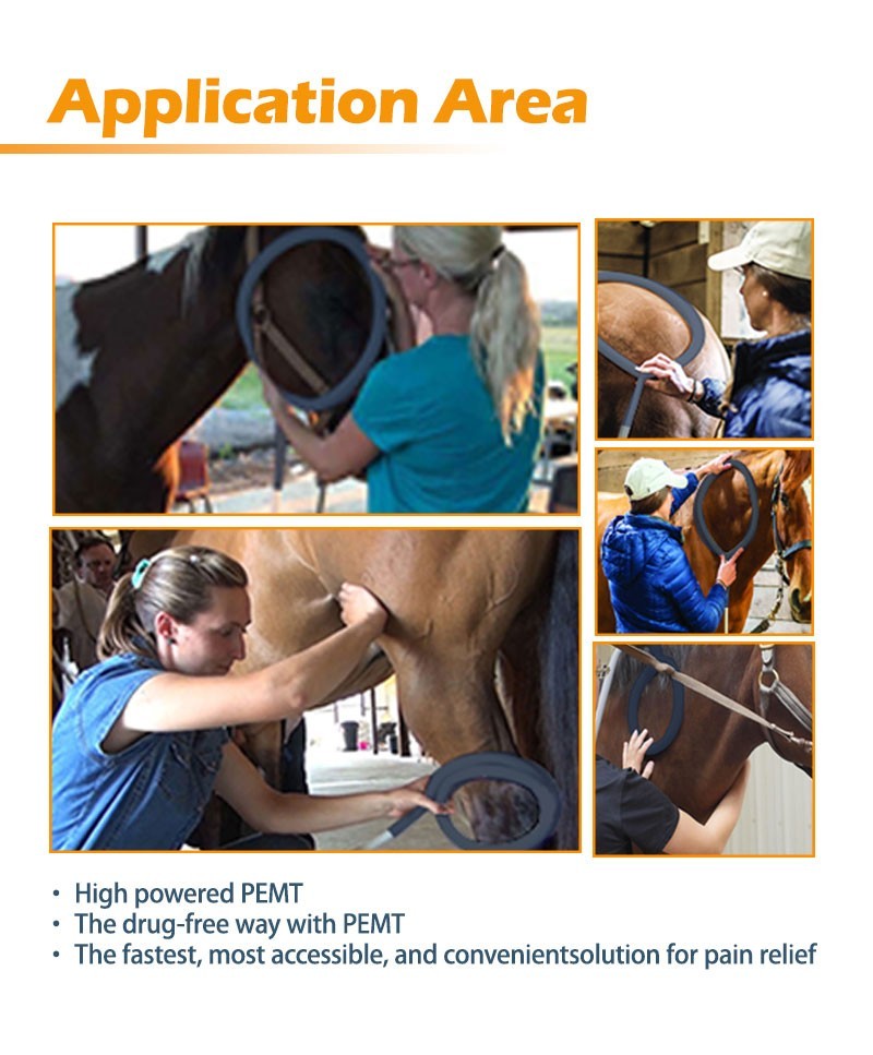 PEMF PMST LOOP Magnetic Therapy Machine for Horse Human Pain Rehabilitation
