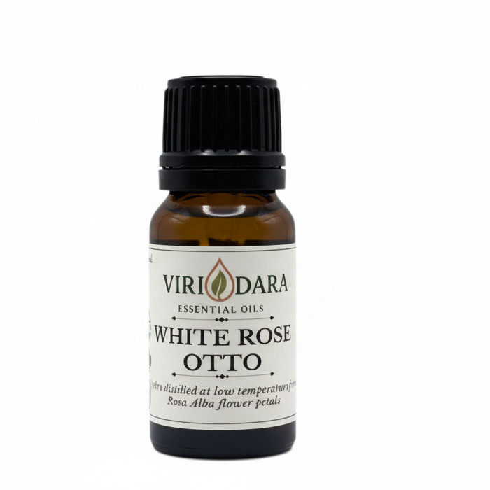 Organic White Rose Otto Essential Oil – 100% Pure & Natural – Free Shipping