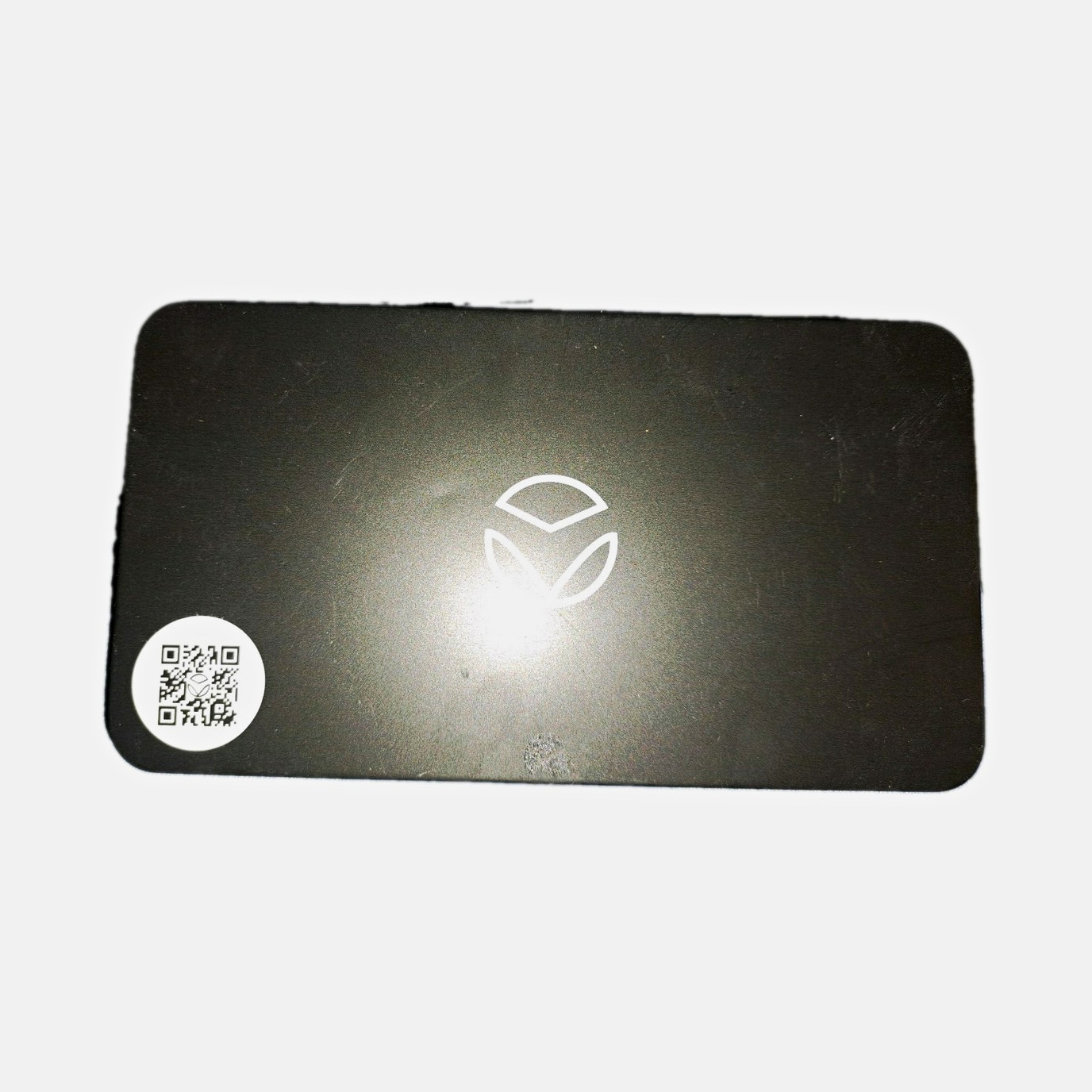 Vagal Buddy tVNS Ear Stimulation Device Kit w/ Case, Black/White/Silver