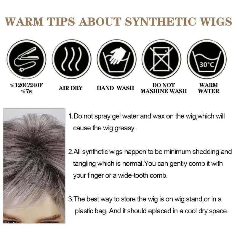 6in Silver Gray Full Wig for Men Heat Resistant Synthetic Cosplay Party