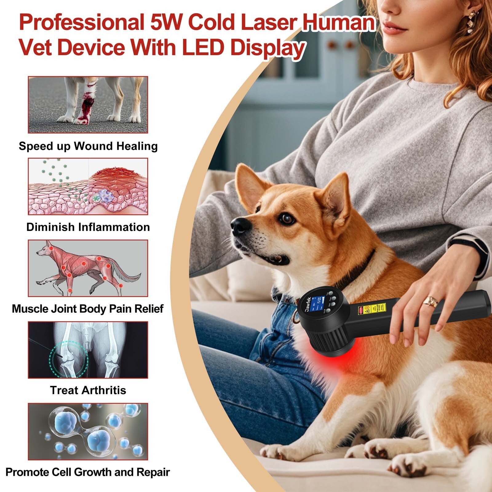 5W Cold Laser Therapy Rechargeable 650NM*10 808NM*15 Pet Dog Back Pain Relief
