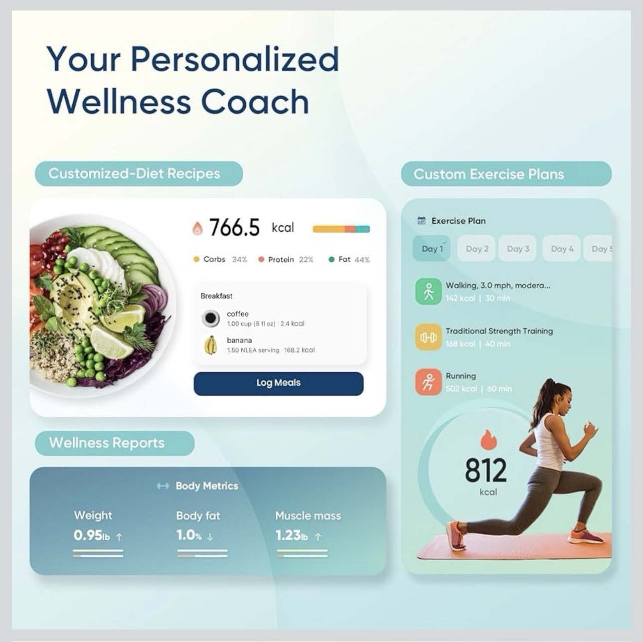 Multi-Function scales for body weight scale