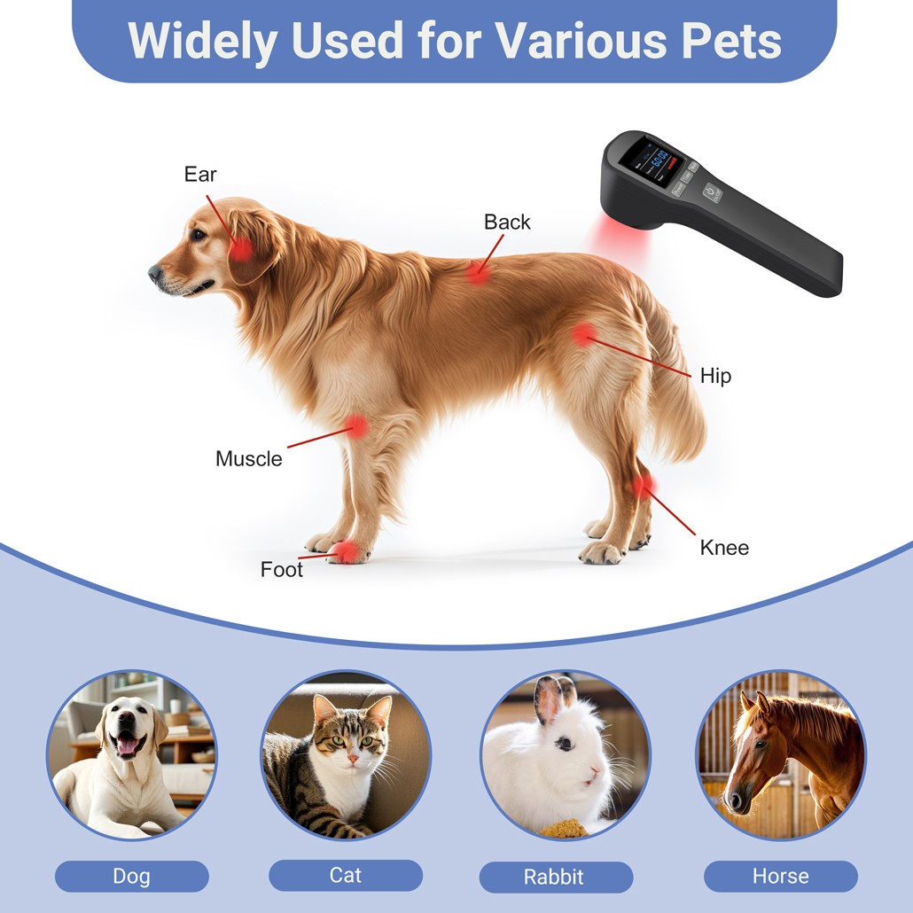 Low Level Laser Therapy Device 650nm 808nm Red Light Treatment for Pain Relief