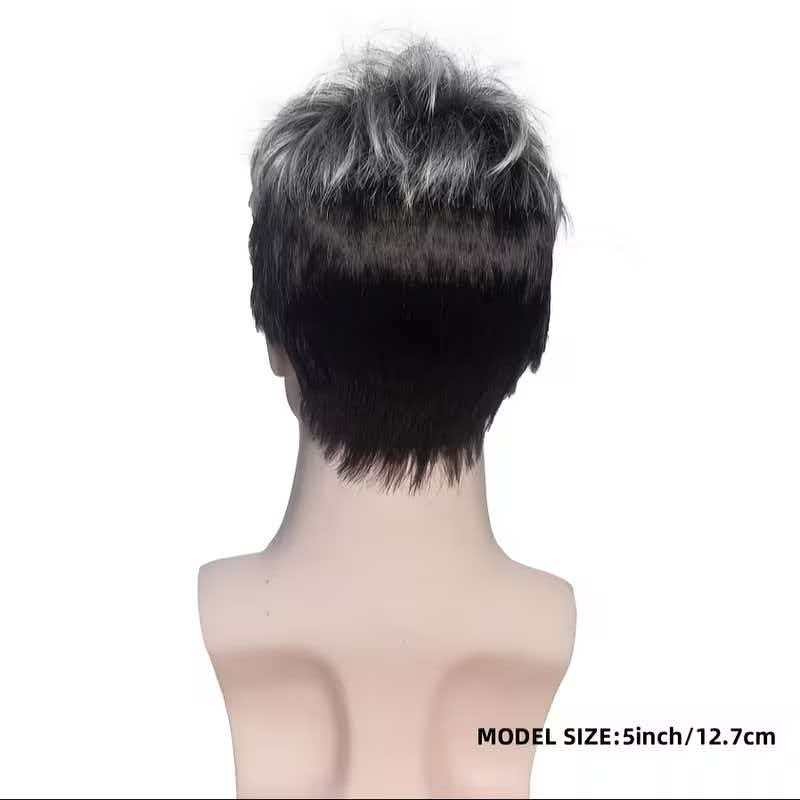 Men’s 6in Short Silver Gray Wig Full Cosplay Synthetic Heat Resistant