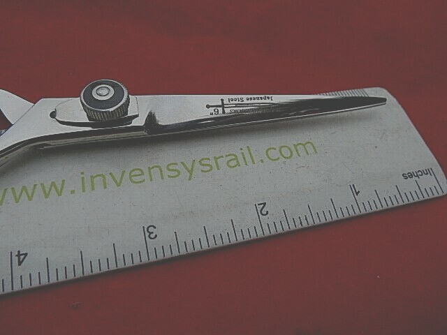 MONEY BACK Warranty_6″ HEART Hairdressing scissors/Japanese steel