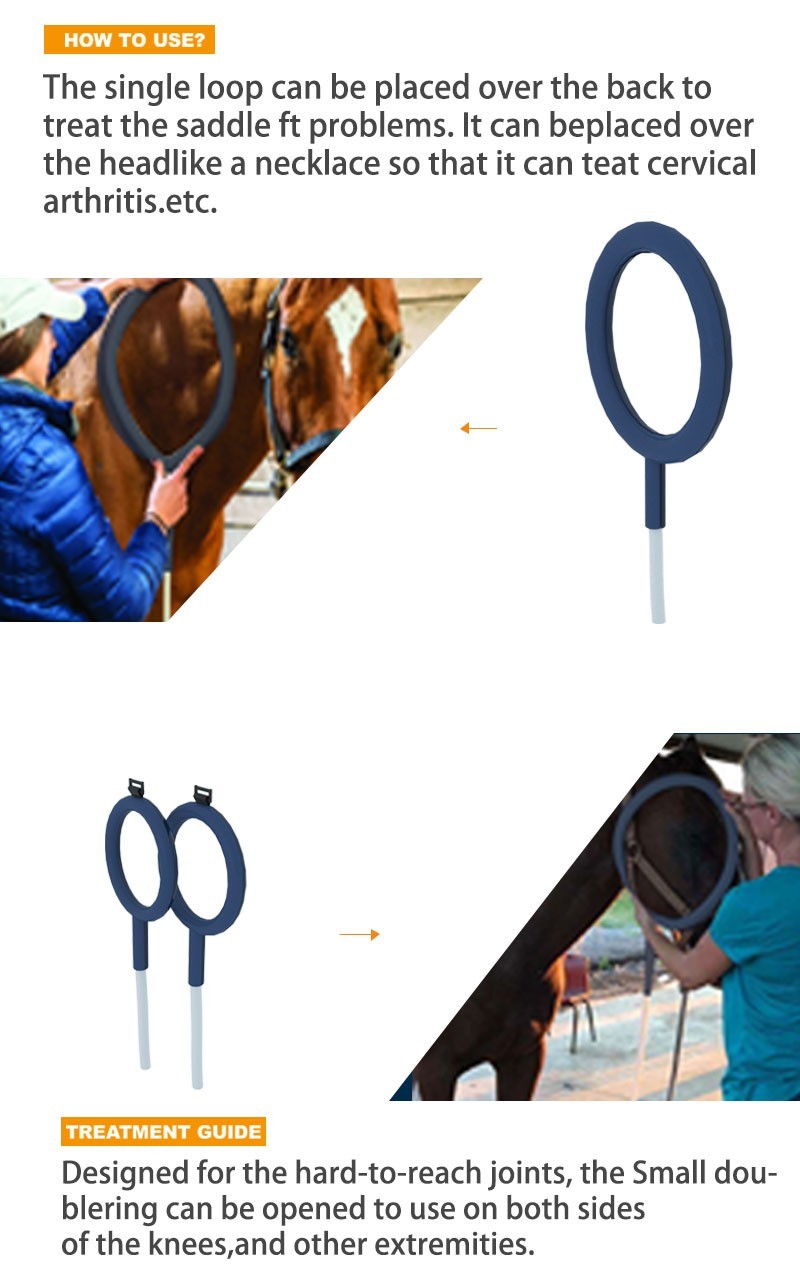 PEMF Therapy PMST LOOP Physio Magnetic Therapy with Large Loop & Butterfly Loop
