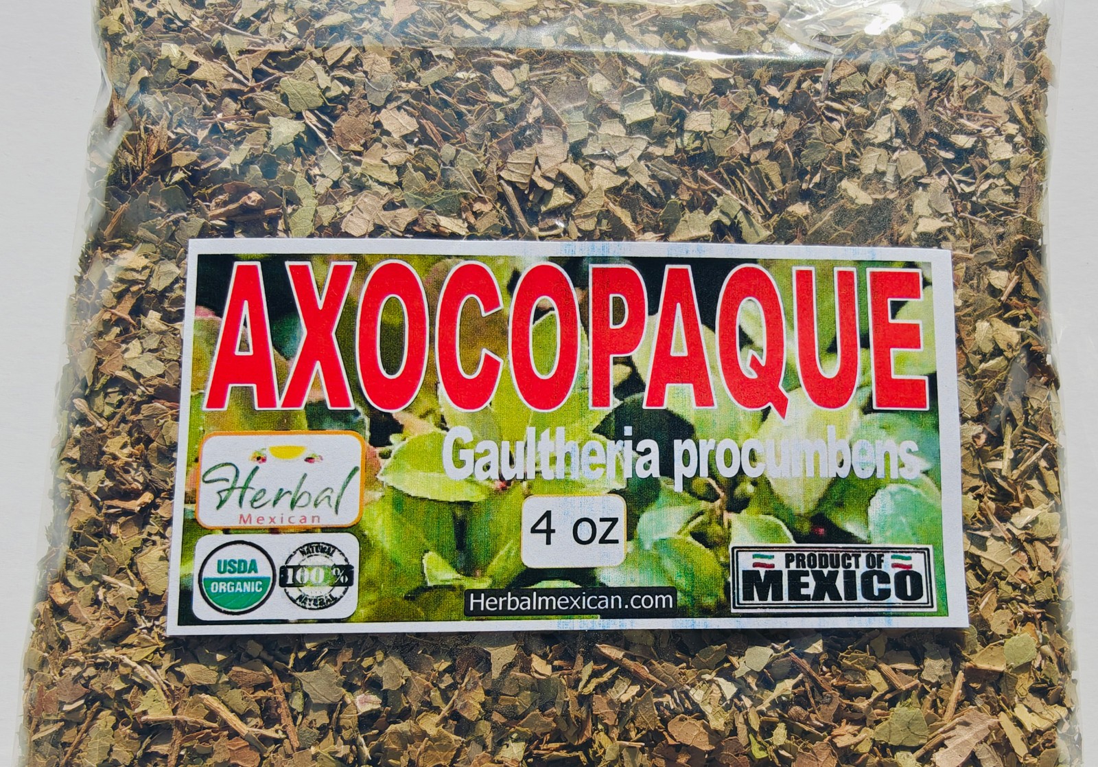 Axocopaque hierba/te,Wintergreen herbs,Gaultheria procumbens, wintergreen 4oz !!