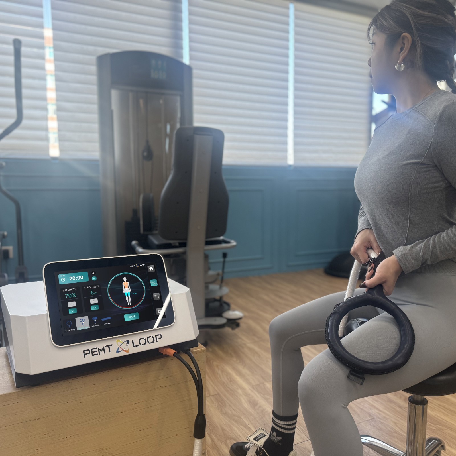 Pro Pemf Magnetic Physio Therapy Pmst Loop Pain Relief Rehabilitation Machine