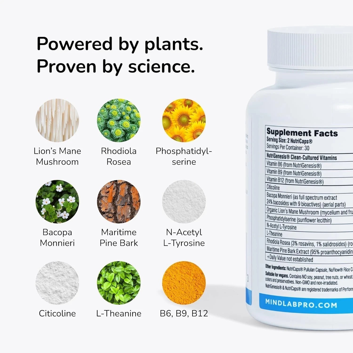 Universal Nootropic™ Brain Booster Supplement for Focus