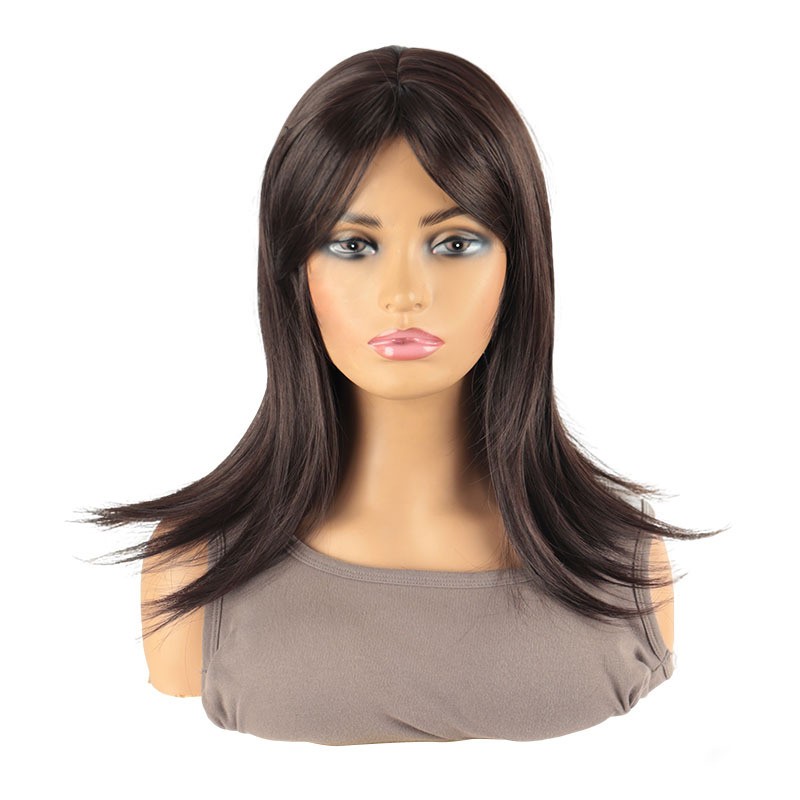 Brown Parted Bangs Long Straight Wig for Women Heat Resistant Synthetic Full Wig