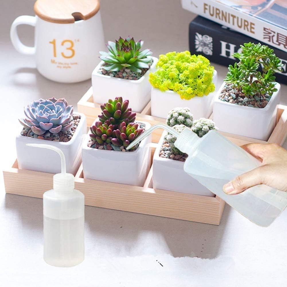 Eco-Friendly 250ml Squeeze Bottles for Accurate Plant Care & Lab Applications