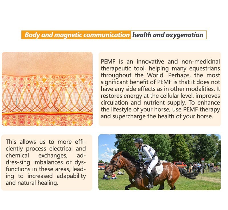 PEMF PMST LOOP Magnetic Therapy Machine for Horse Human Pain Rehabilitation