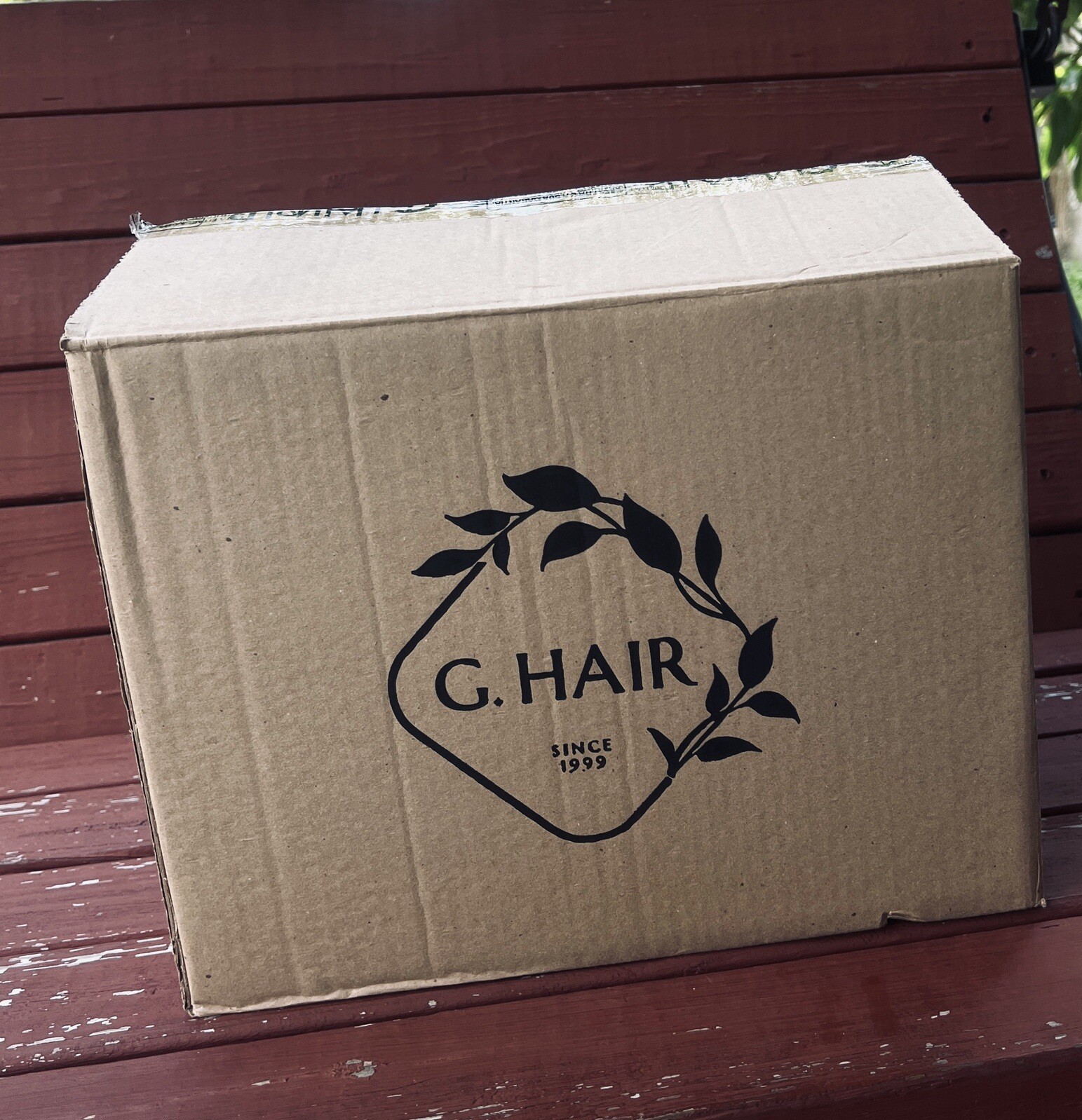 G.HAIR Plastica Capilar Keratin Collagen Anti-Frizz  ( Box of 6 sets)