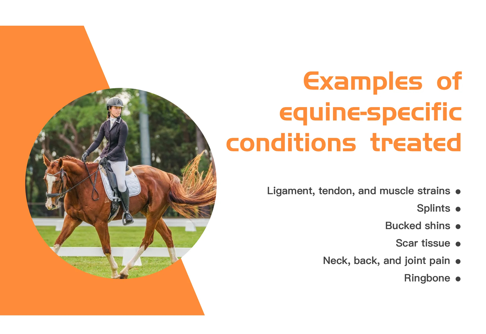 Portable Shockwave Therapy Machine Equine Shock Wave for Horse Pain Relief