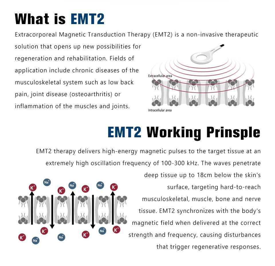 PMST PEMF EMTT Physio Magneto Therapy Magnetic Pain Relief Massager Machine 2026