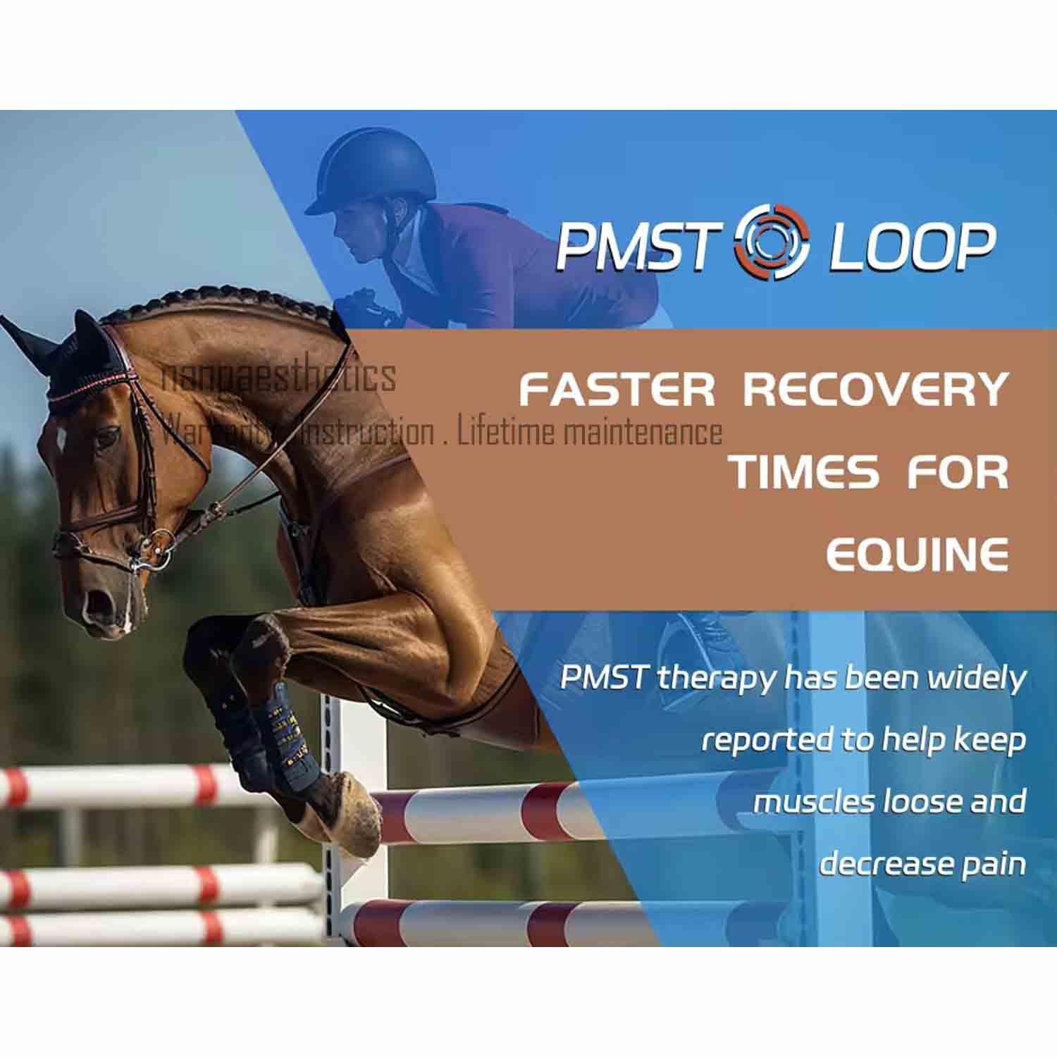 PMST Loop EMTT PEMF Machine Physio Magnetic Therapy For Body Massage Pain Relief