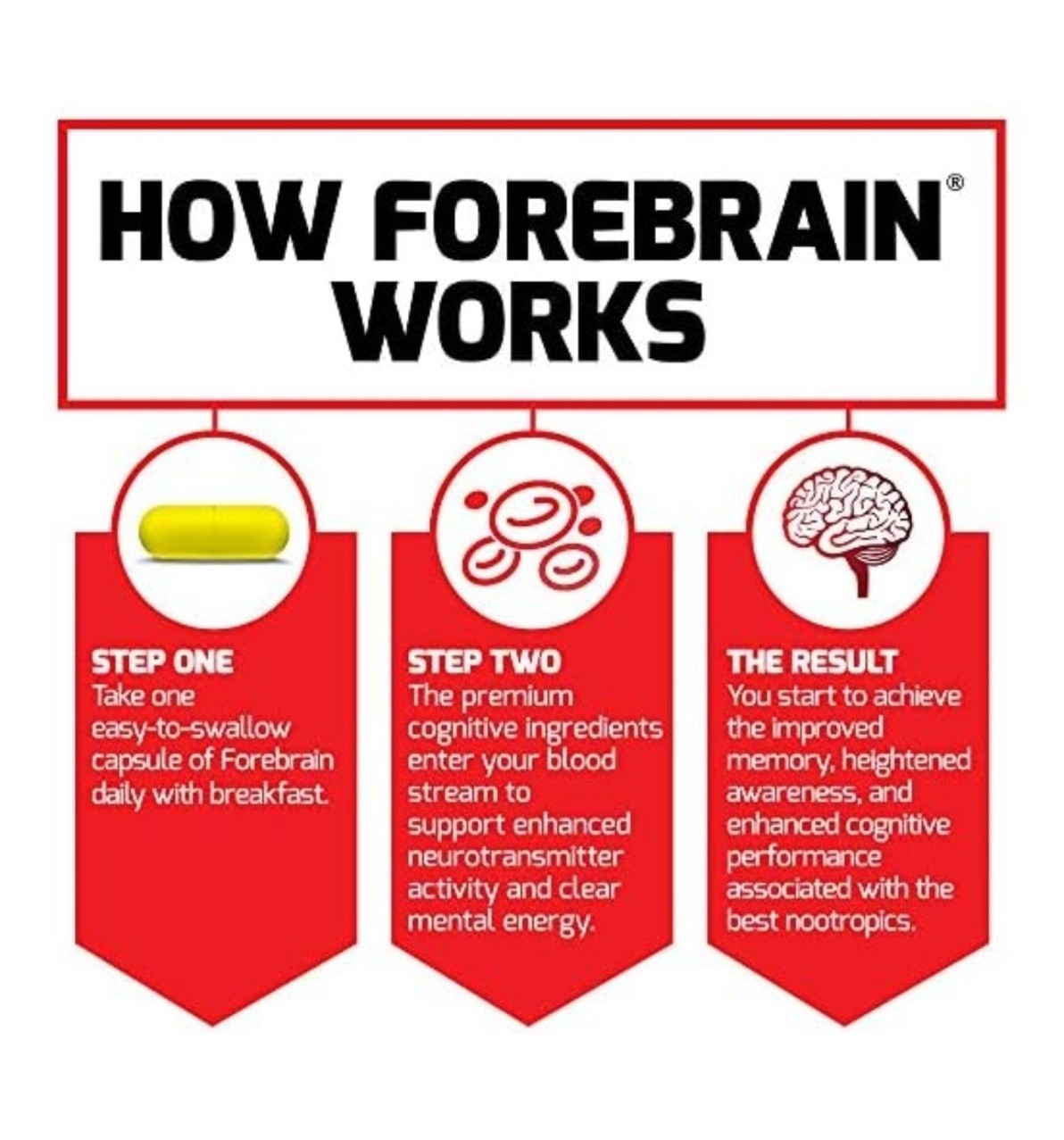 Force Factor Forebrain Memory + Cognitive Support 550mg Nootropic Capsules 30