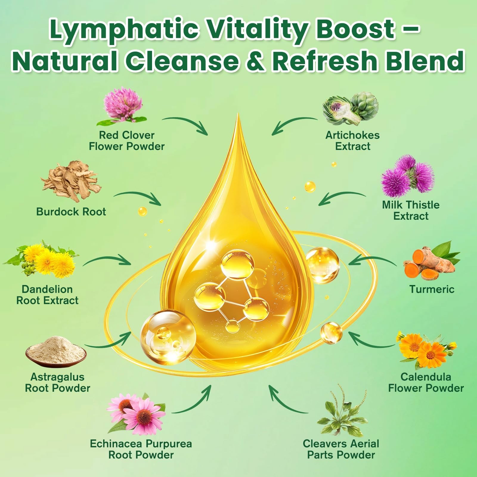 Lymphatic Drainage Drops – Detox Supplements with Milk Thistle & Burdock Root, 4