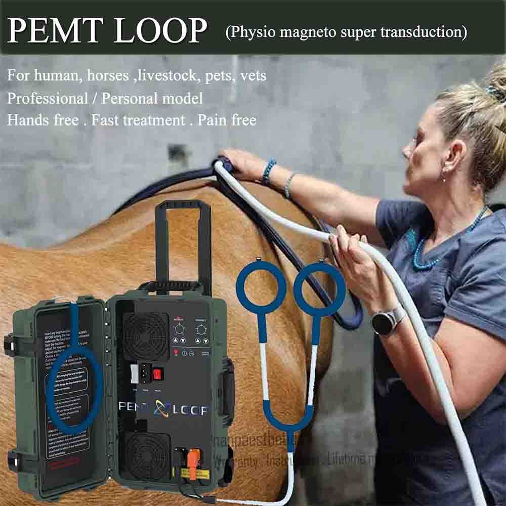 PEMT PEMF Magnetic Horse Injury Treatment Machine PMST LOOP Physio Therapy Green