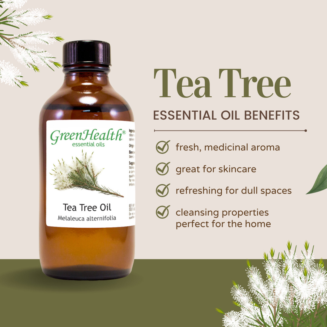 8 fl oz Tea Tree Essential Oil (100% Pure & Natural) in Amber Glass Bottle