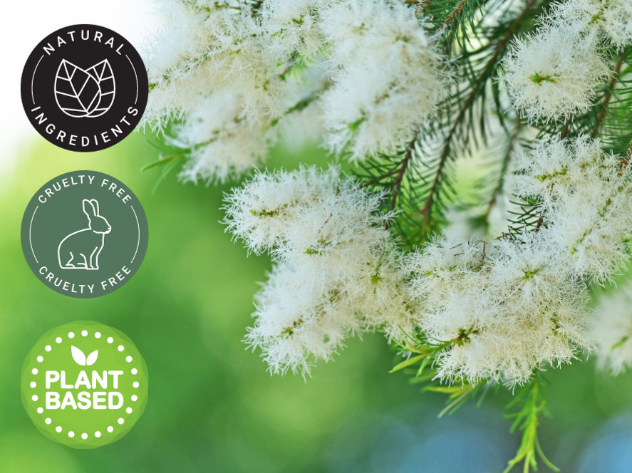 Tea Tree Essential Oil 100% Pure Many Sizes Free Shipping – GreenHealth