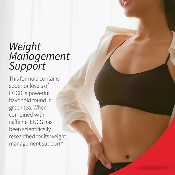 Applied Nutrition Green Tea Weight Loss Supplement, 180 Capsules