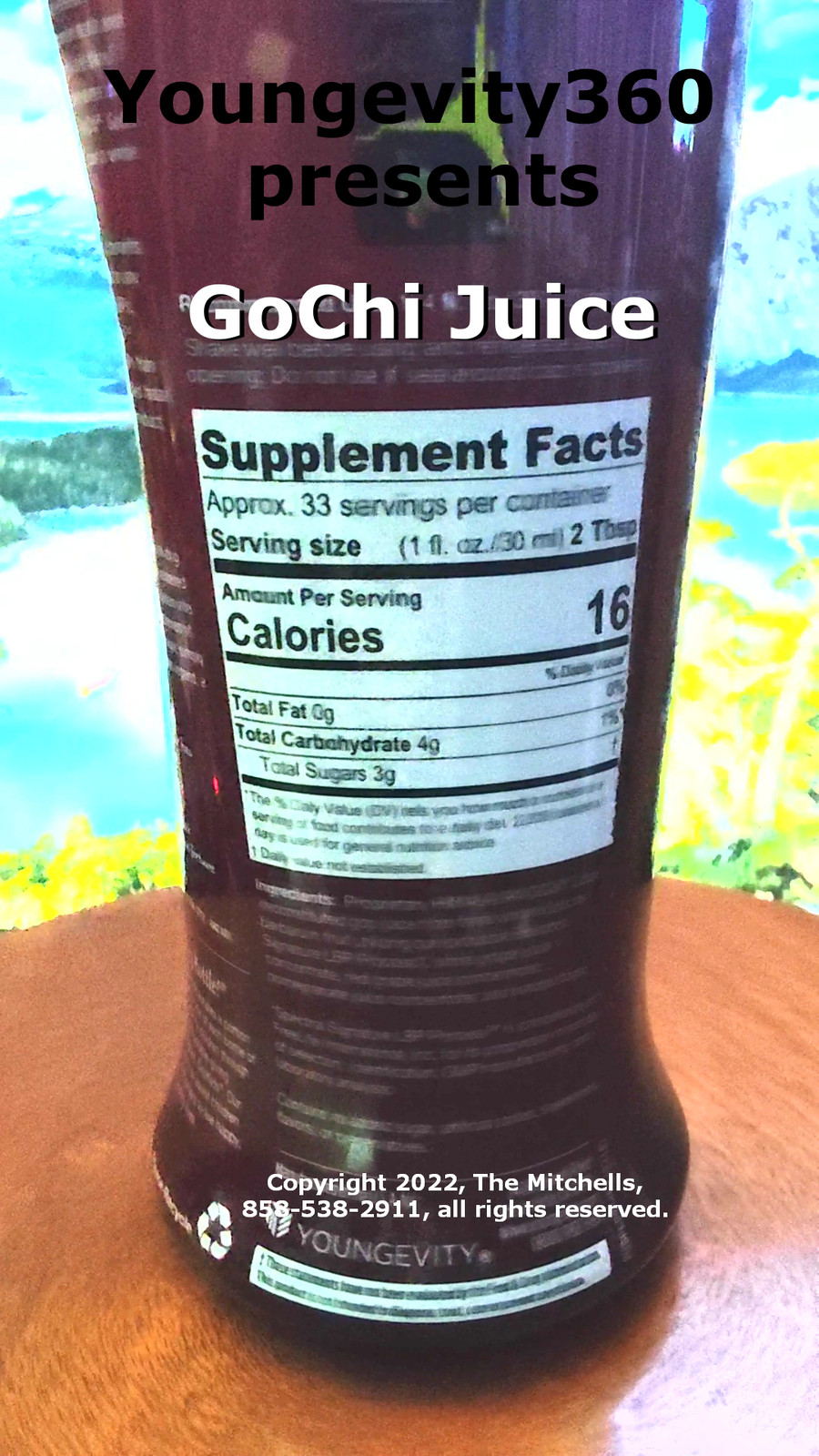 Youngevity Plan-1x GoChi Juice 4-Pak