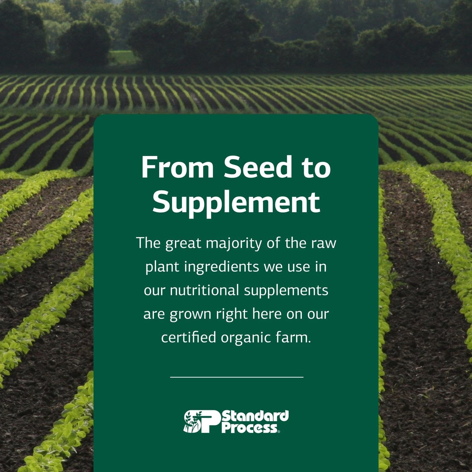 Standard Process Inc. Standard Process E-Z Mg – Central Nervous System Health
