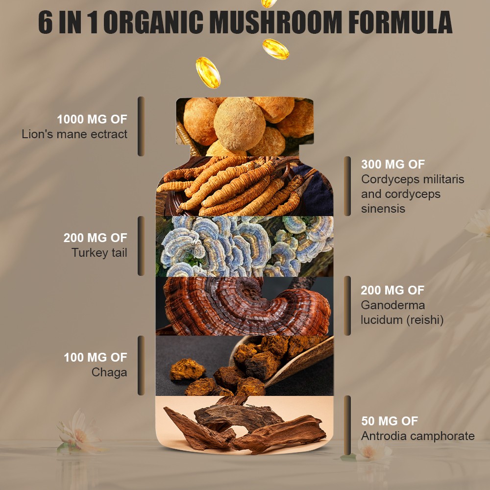 1-3Bottles Lion’s Mane Mushroom Complex 120 Capsules Focus & Immune Support