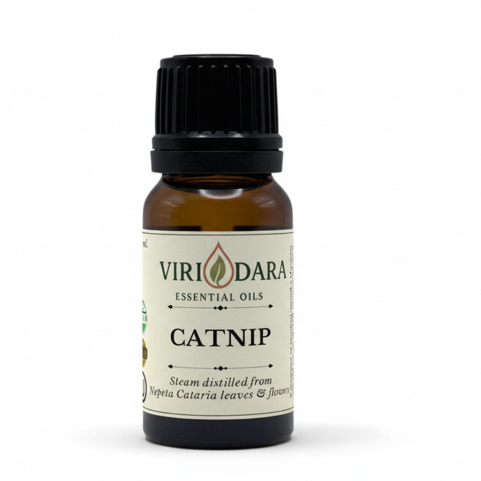 Organic Catnip Essential Oil – 100% Pure & Natural – Free Shipping