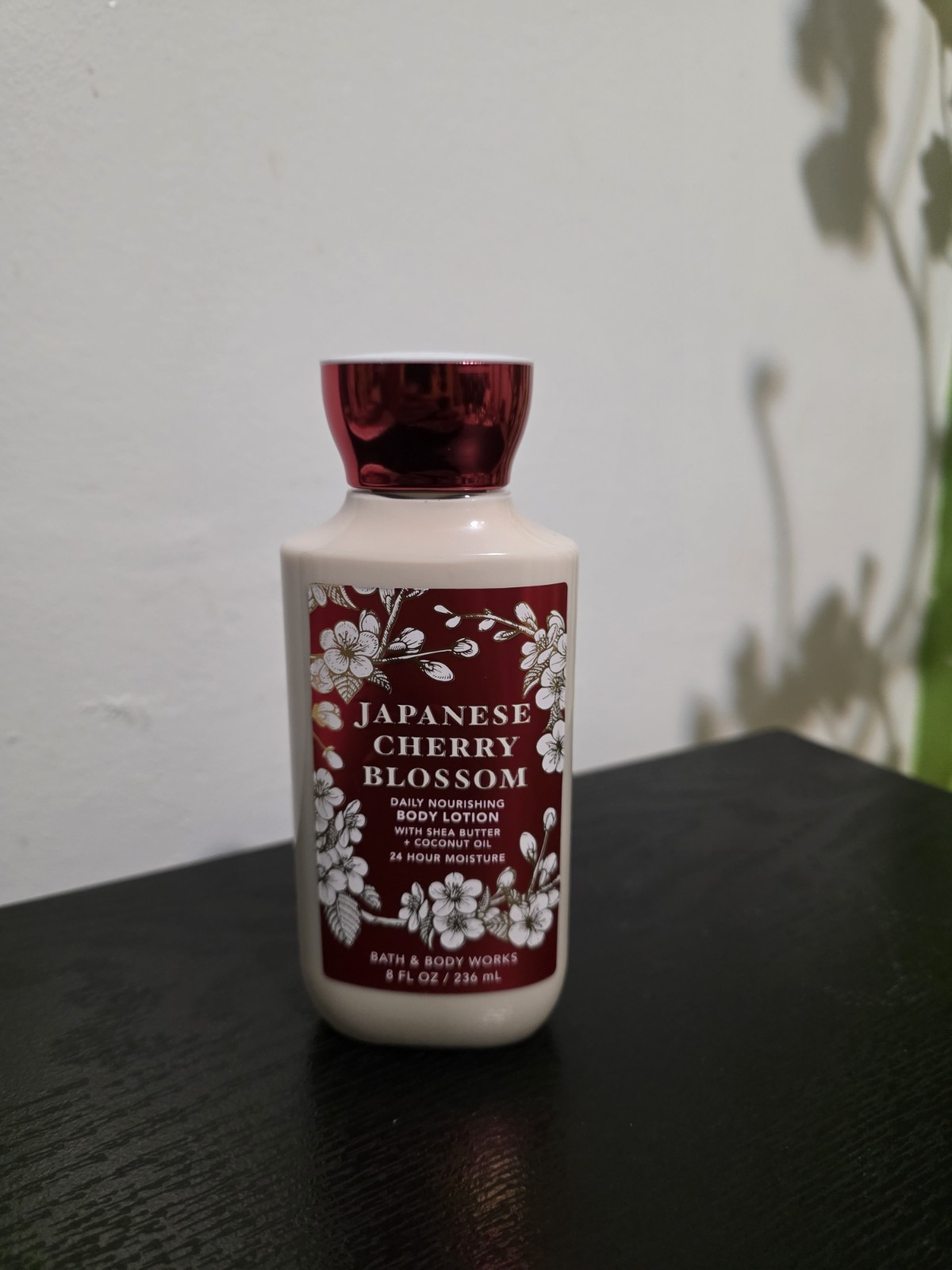 Bath & Body Works Japanese Cherry Blossom 24 Hour Moisture Body Lotion 8 fl oz