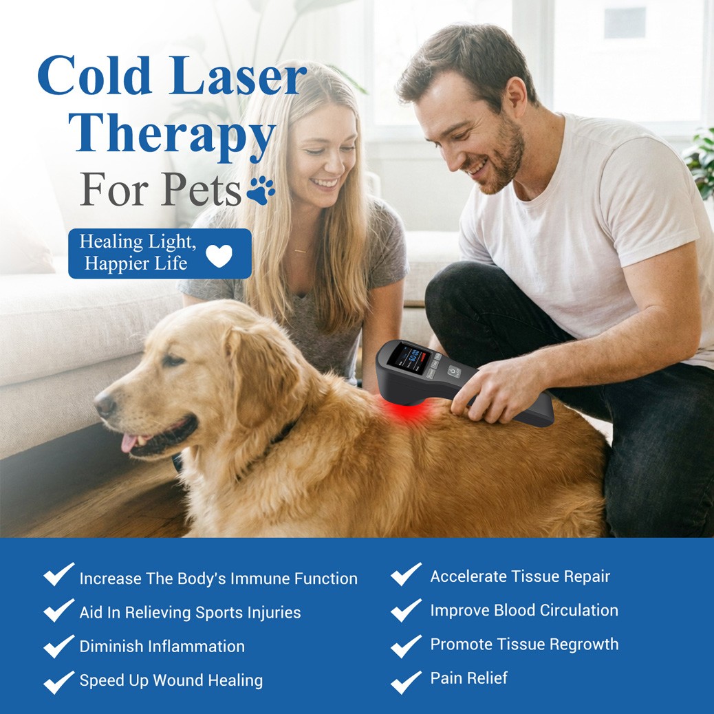 808mW Physiotherapy Cold Laser Infrared Red Light Therapy For Neck Pain Relief